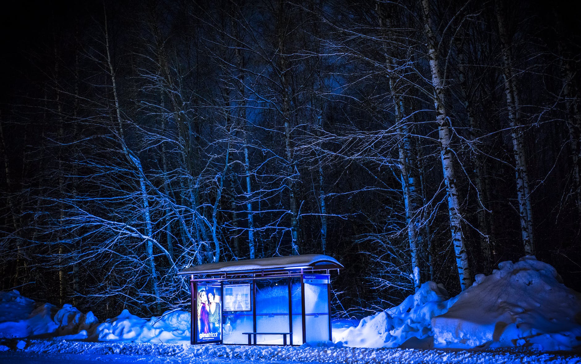 photography of bus stop during winter